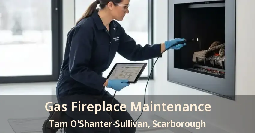 Gas Fireplace Maintenance Tam O'Shanter-Sullivan, Scarborough - ON