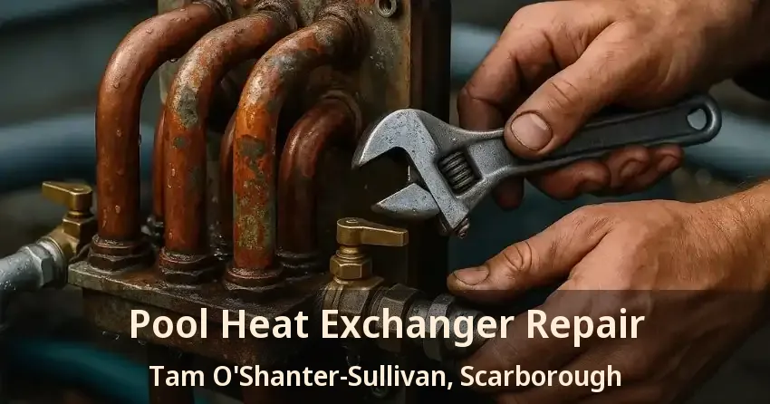 Pool Heat Exchanger Repair Tam O'Shanter-Sullivan, Scarborough - ON